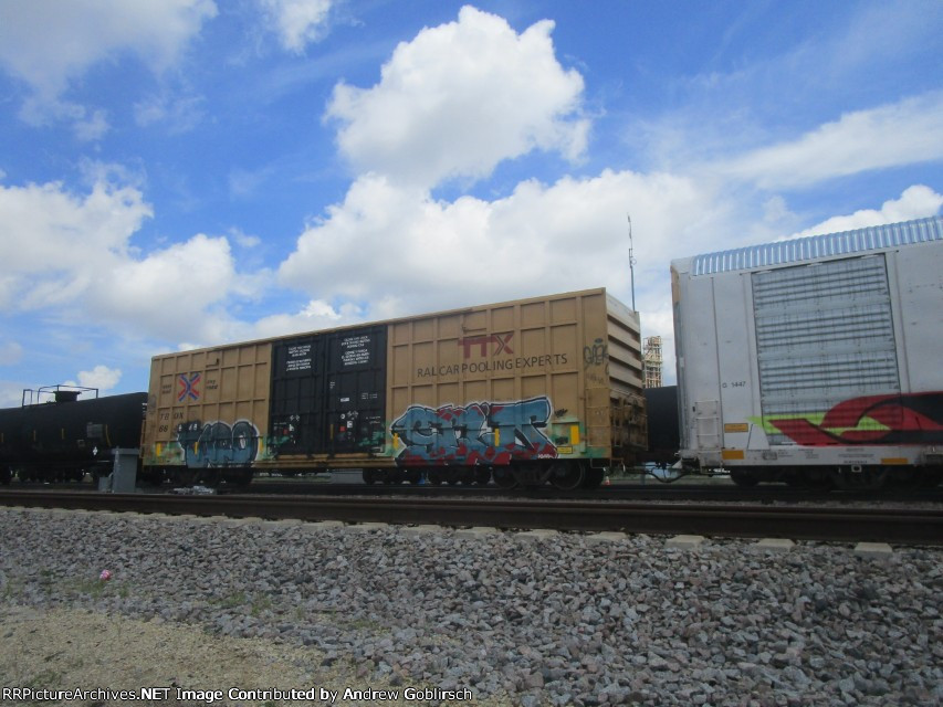 TBOX 664648